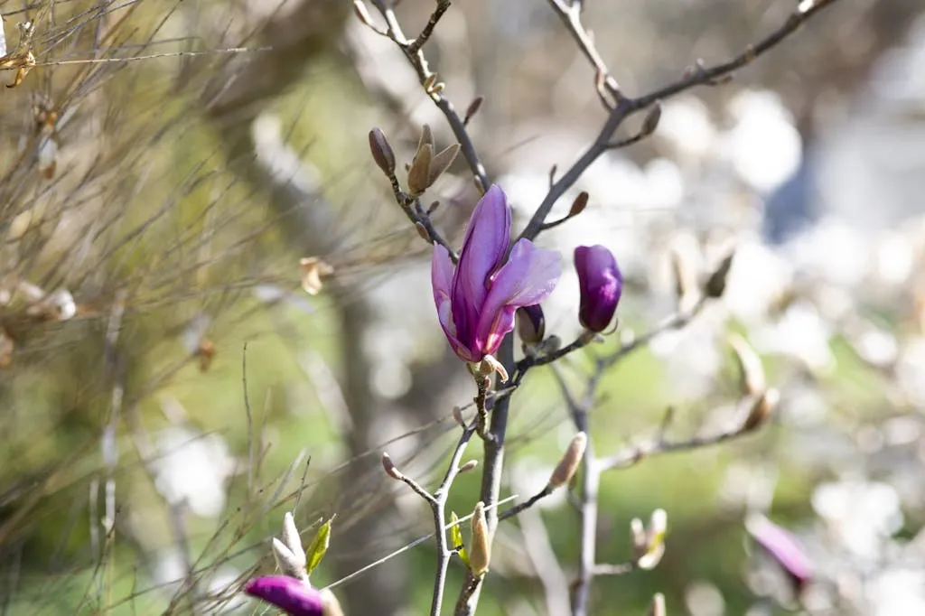 N3bEPJqr6qYrid3QHpcrmsymICS6hkgIdC32nOow