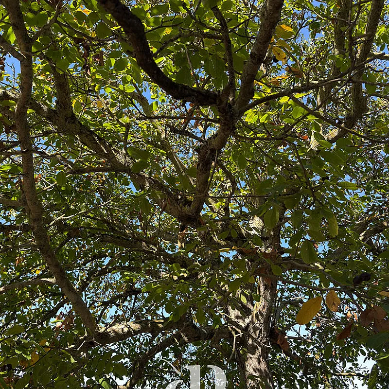 faBrCC5RDJRDN6DDrrLCWAkOeGKoscBLd2hqWn4O