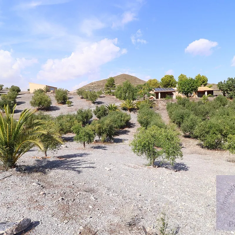 SqbhSt4juE2RqHkV9Ftj8MdTrLHLJaiQNYVlaFMD