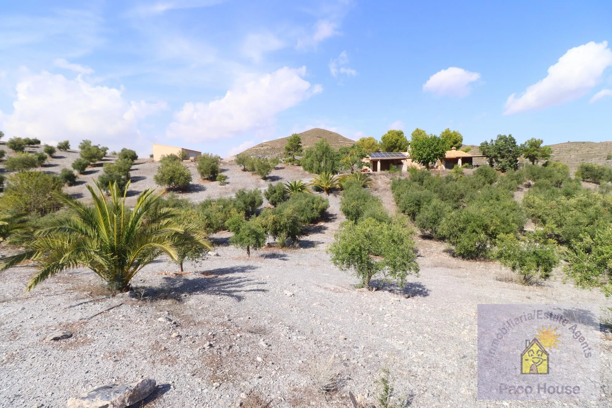 SqbhSt4juE2RqHkV9Ftj8MdTrLHLJaiQNYVlaFMD