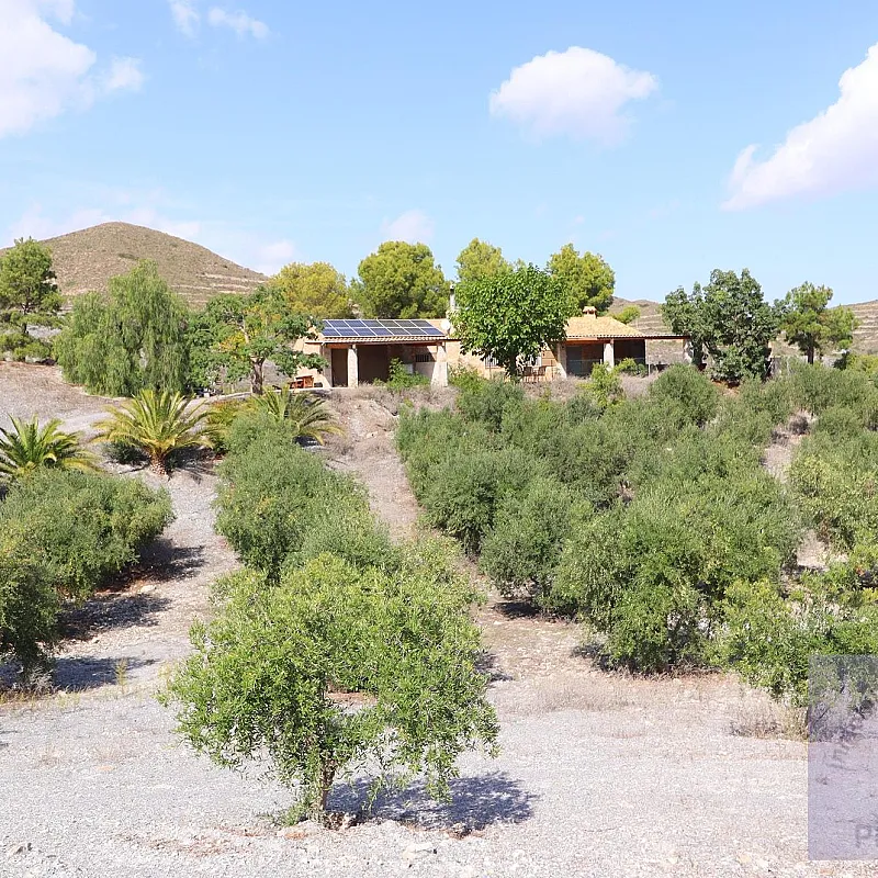 pmp4UXWFYHbPJ3V426m7WVyOlDSQsMqrJFyLBcQC