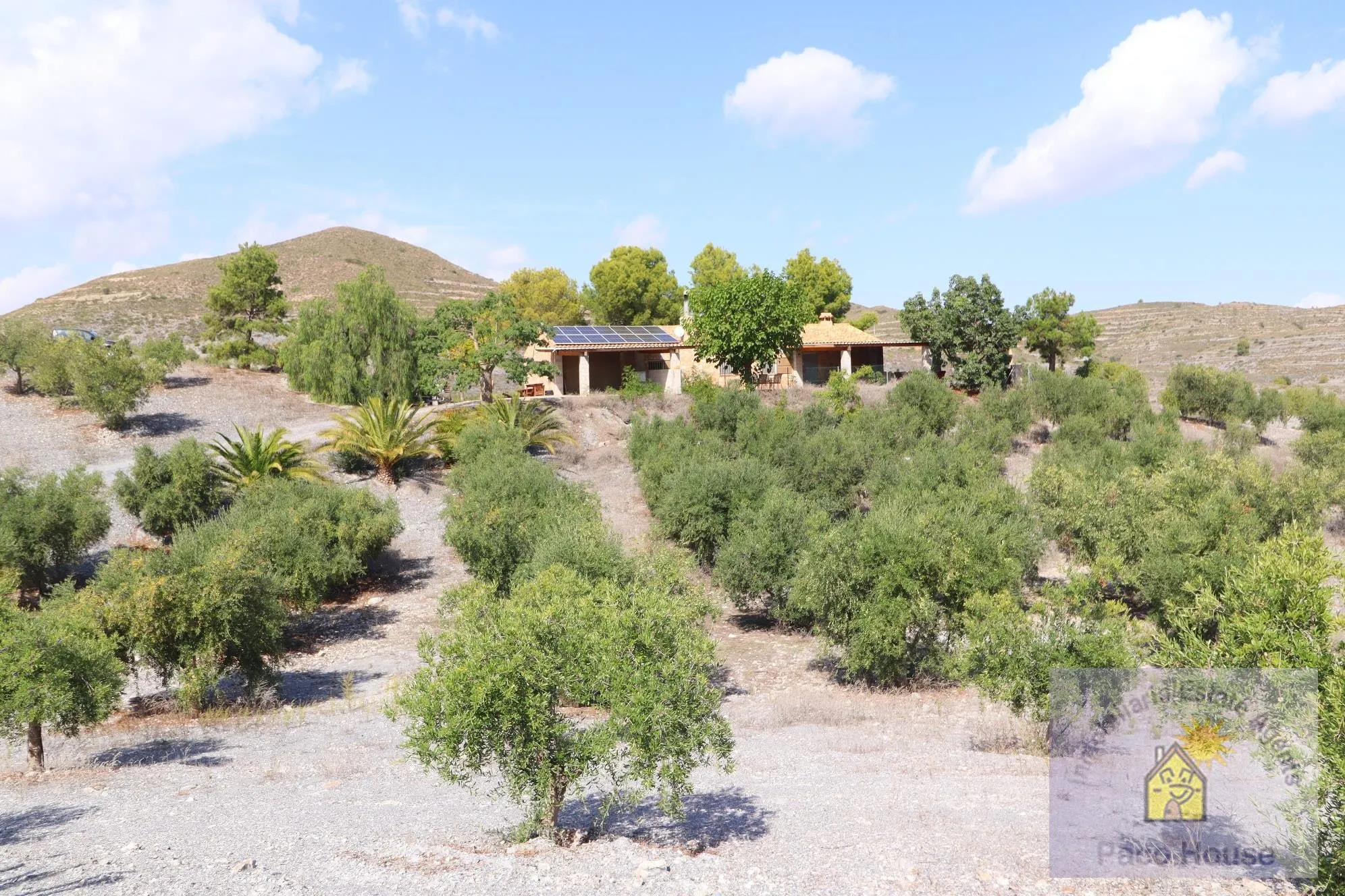 pmp4UXWFYHbPJ3V426m7WVyOlDSQsMqrJFyLBcQC