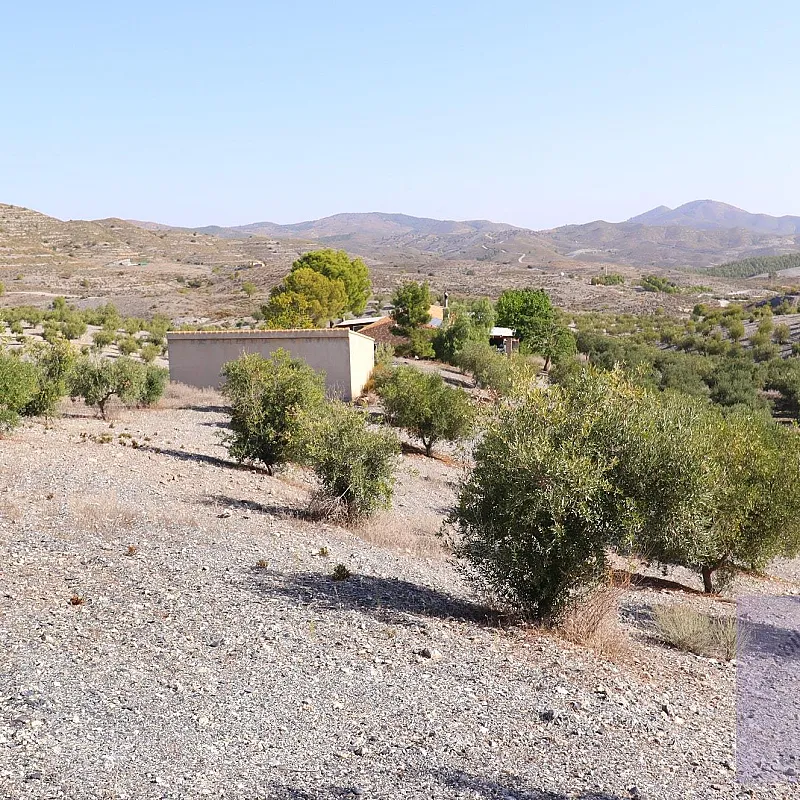 PLECaeDkJ72NQ72XN9kaF2X2mlE1XdaU2r6VvJid