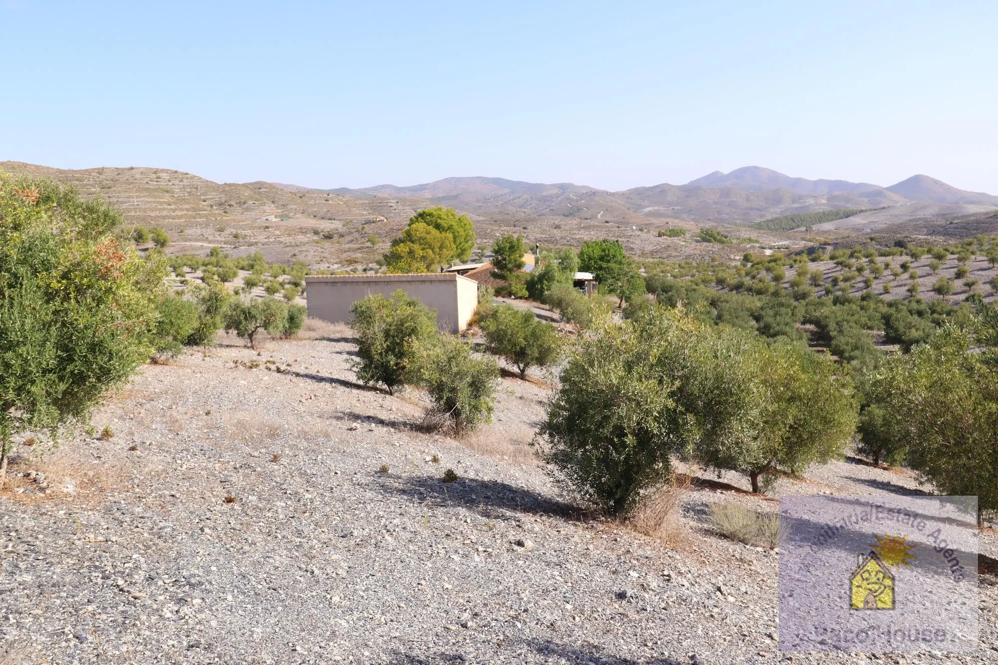 PLECaeDkJ72NQ72XN9kaF2X2mlE1XdaU2r6VvJid