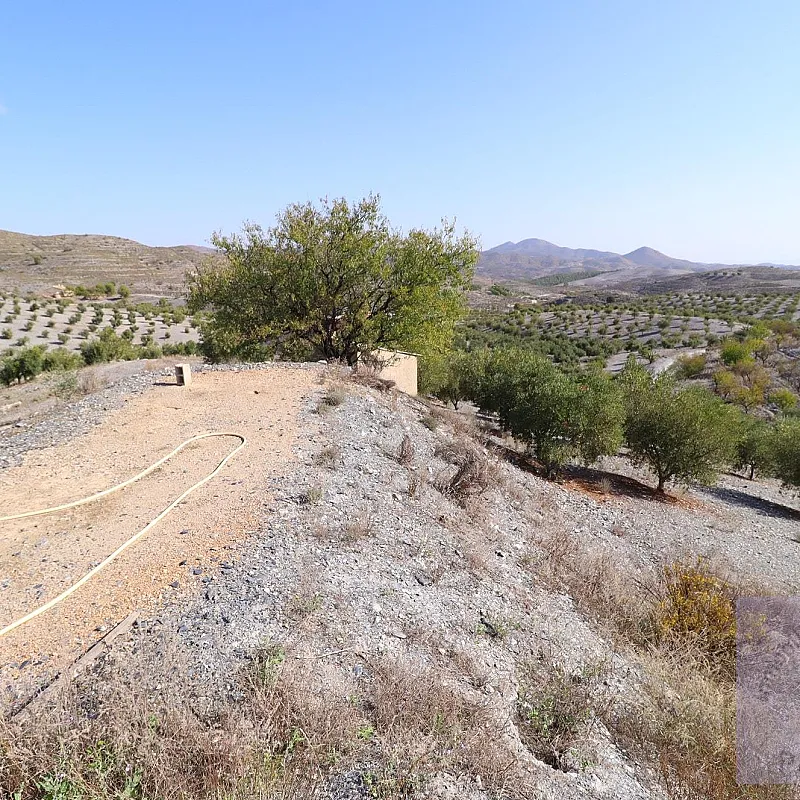 XRwNG4UGyLTntMdmRlsGmWQGblS0viGbrUPZBSME