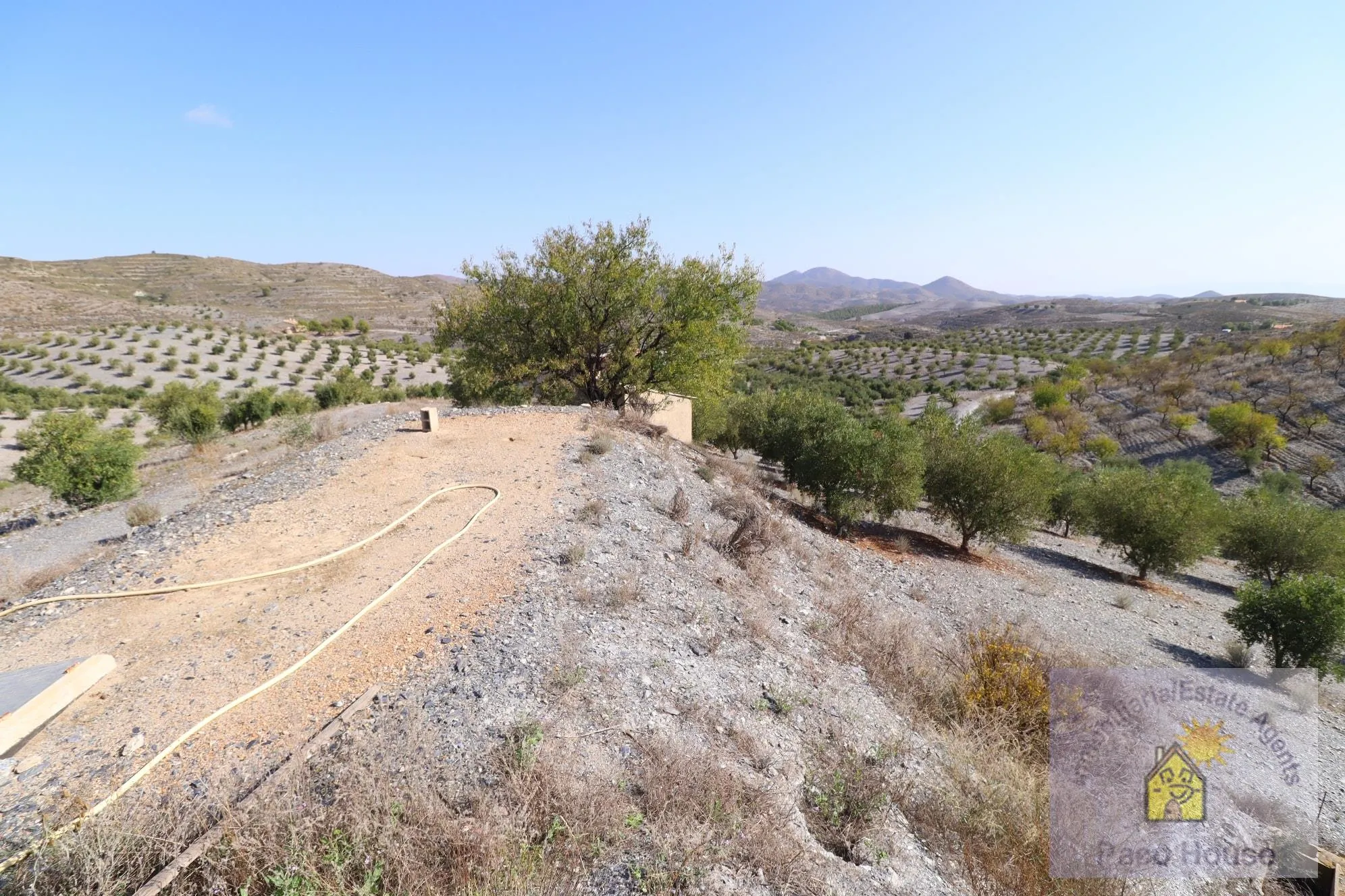 XRwNG4UGyLTntMdmRlsGmWQGblS0viGbrUPZBSME