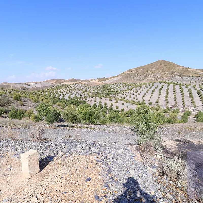 TfZYugC7uE3y5a6jWa9uzSBSD102BLX2Y19ONMeG