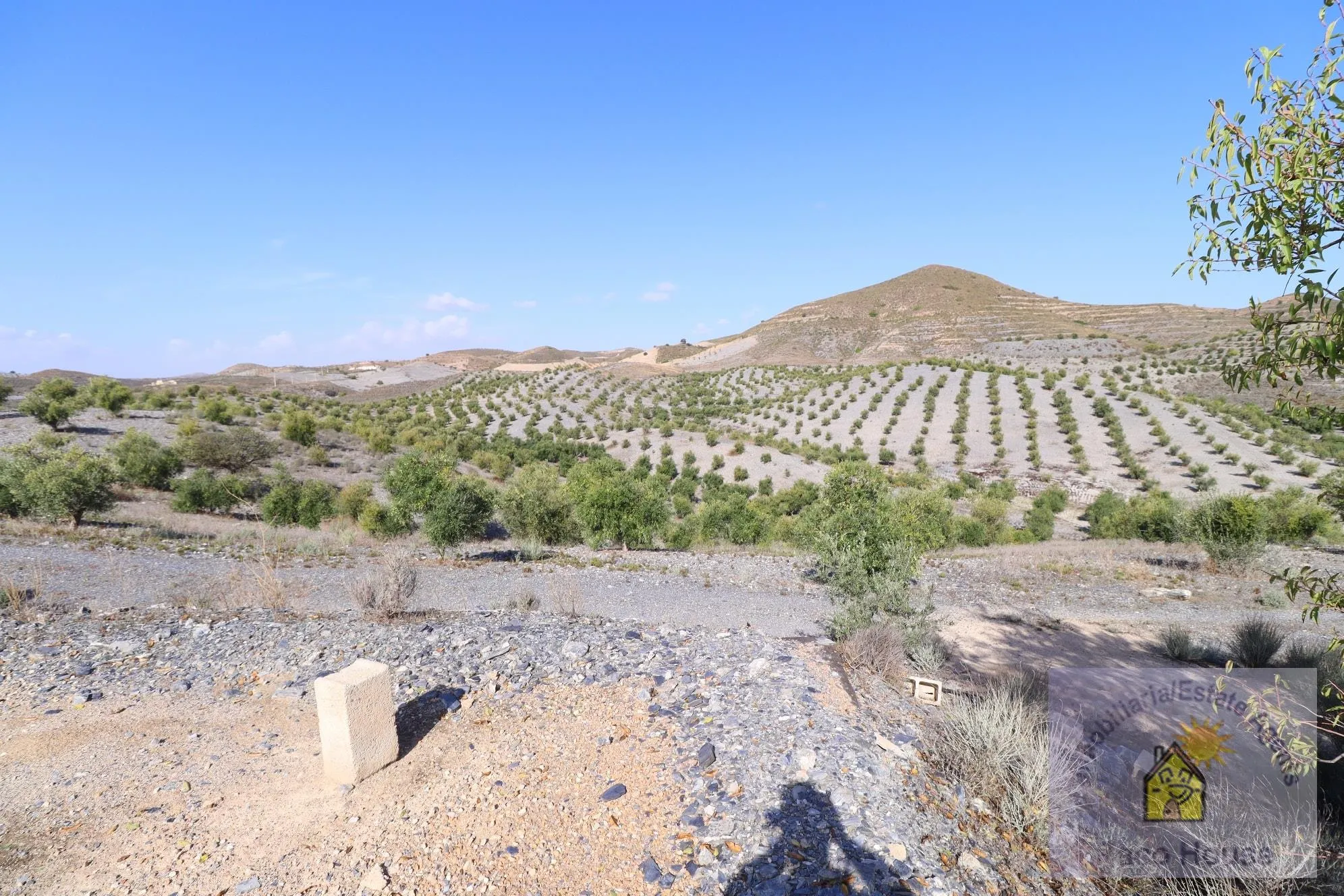 TfZYugC7uE3y5a6jWa9uzSBSD102BLX2Y19ONMeG