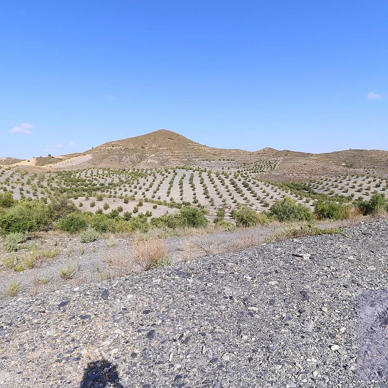 HaMq0tseDzR9vcDhsjMaEFprJL2WS6ZAUzhKCXgE