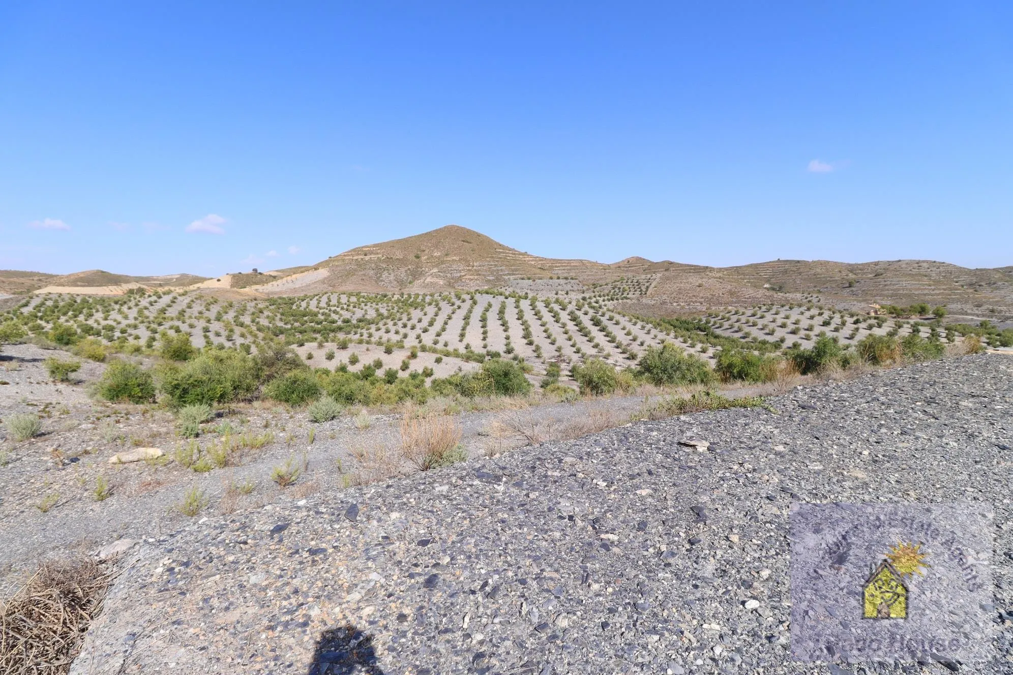 HaMq0tseDzR9vcDhsjMaEFprJL2WS6ZAUzhKCXgE