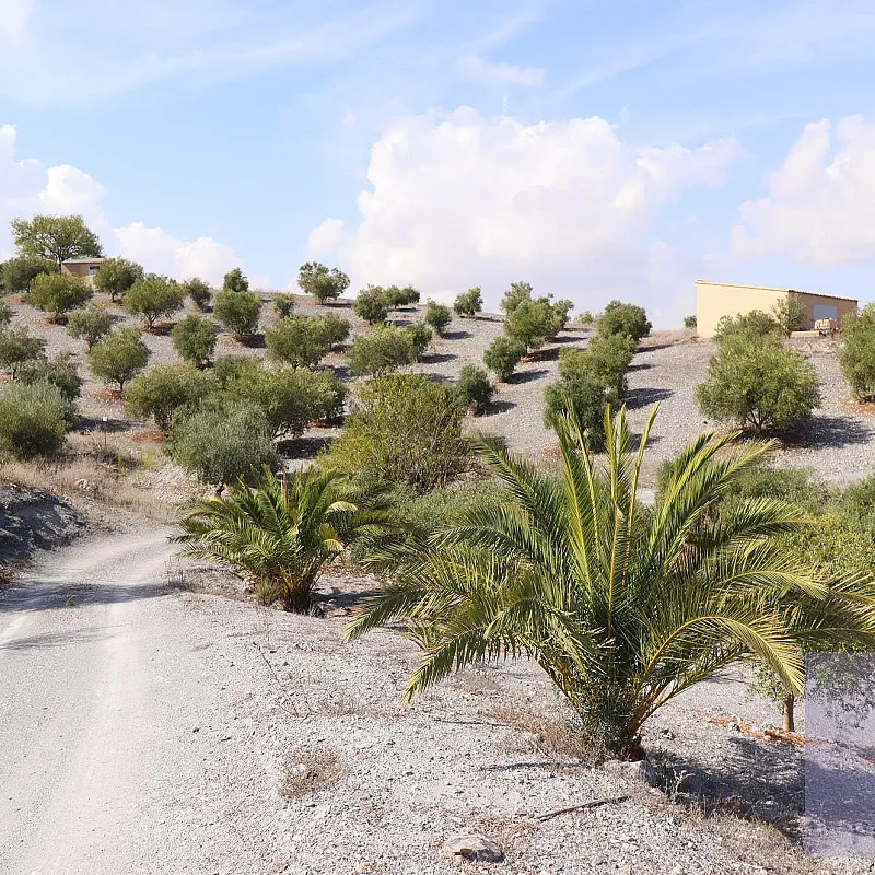 XvxjD6bT3QSZnRXQxo4FGKoPCQUpivnQhbtIxb4A