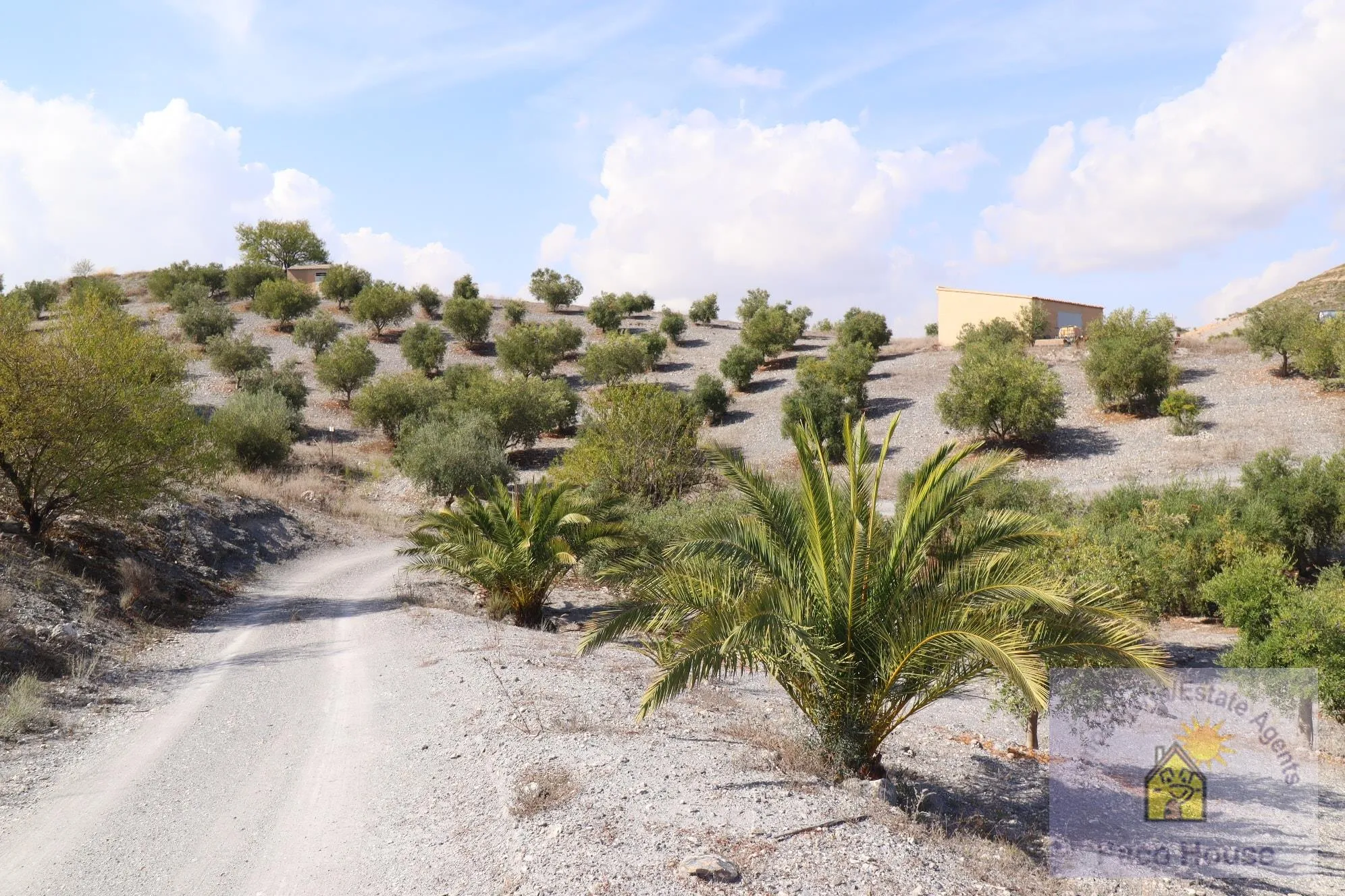 XvxjD6bT3QSZnRXQxo4FGKoPCQUpivnQhbtIxb4A