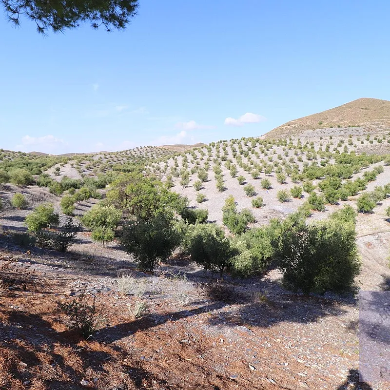 LhTcDbWzKhRl4ojOCJKBtwzdWu8JxnDsDAW8FWeA