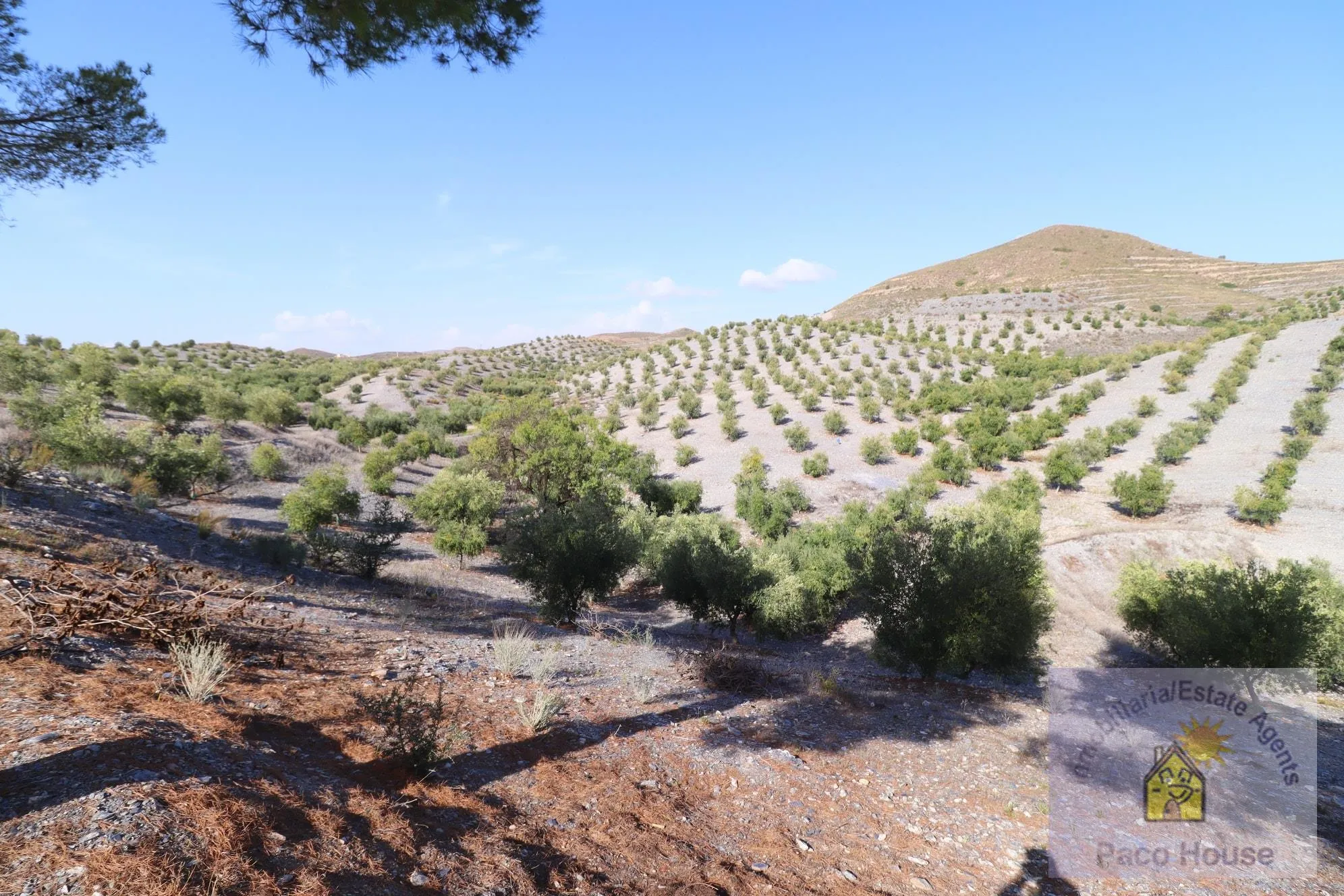 LhTcDbWzKhRl4ojOCJKBtwzdWu8JxnDsDAW8FWeA