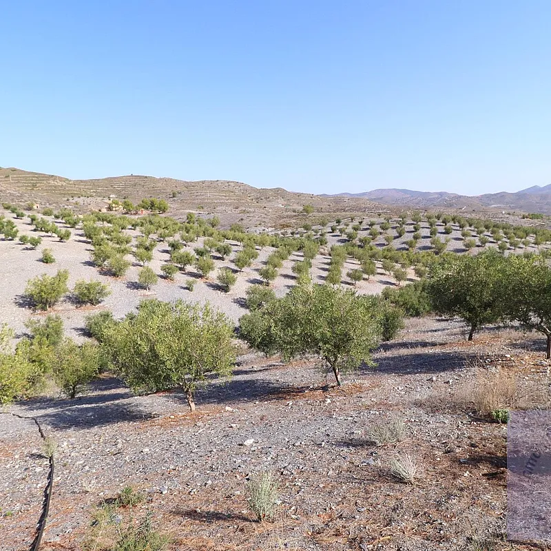 tXS8hYudxikaUbnuRc1aTXUw2vqafhyYmjMJrTuT