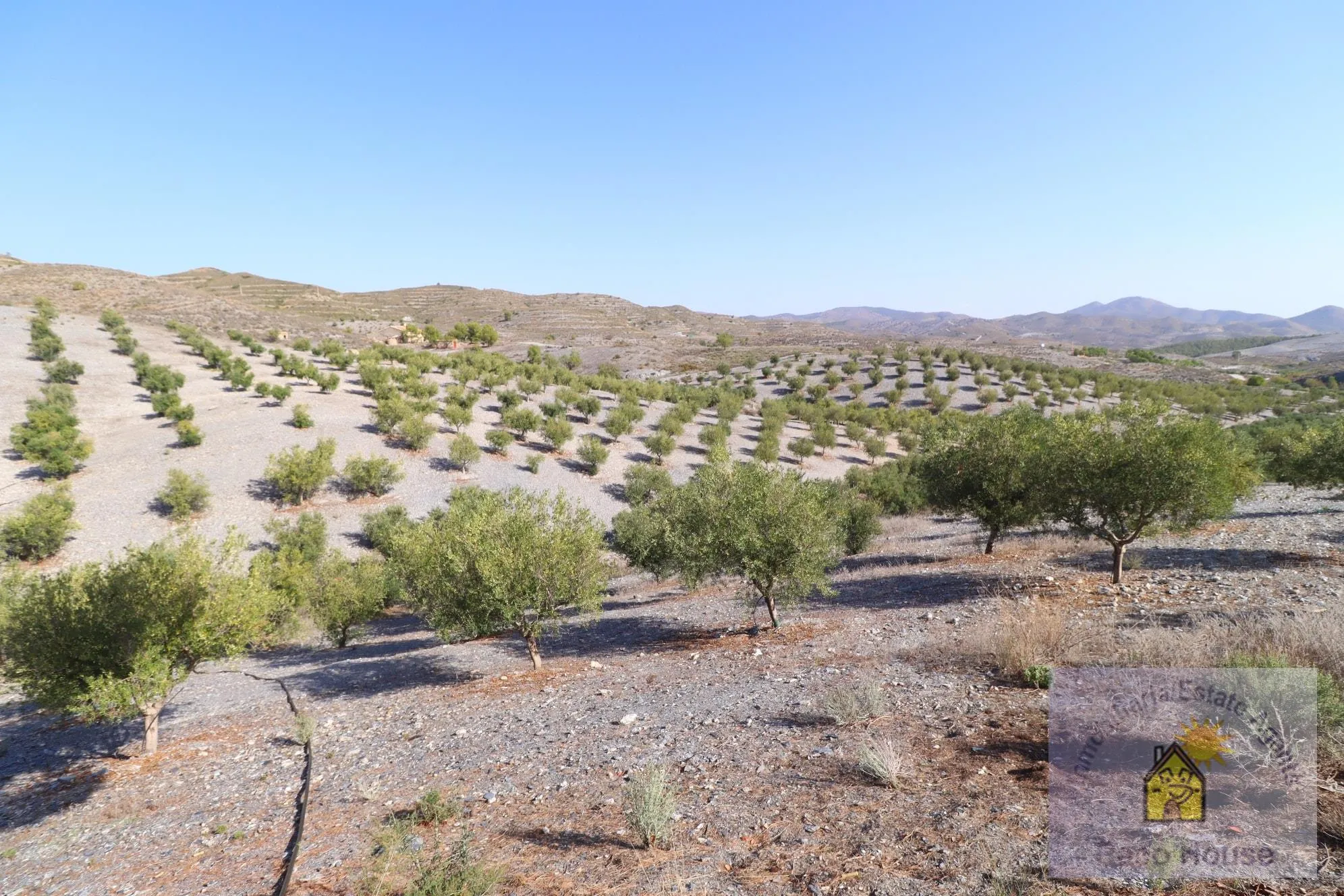 tXS8hYudxikaUbnuRc1aTXUw2vqafhyYmjMJrTuT