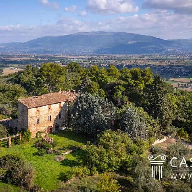 aEUEYt3b0OorSzJvgfyhF51wu6Z4HfB565d6gmuu