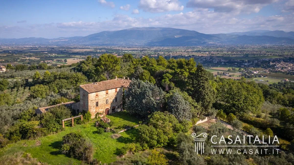 aEUEYt3b0OorSzJvgfyhF51wu6Z4HfB565d6gmuu