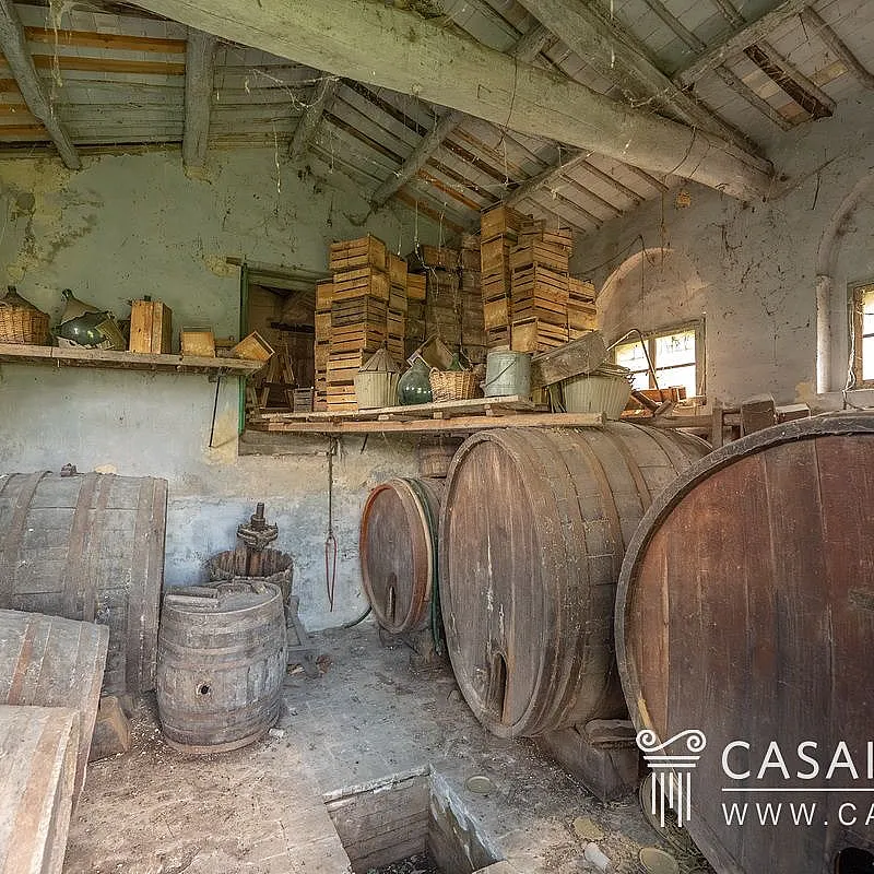 ONDXb7uKg0VimWkxaGjoOCVWq6ZV9luVDmpOglgF