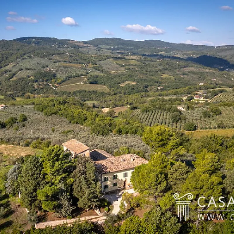 y9mxHw6puhjxrE307oeDUth3nS85JOhkg80CqAB7