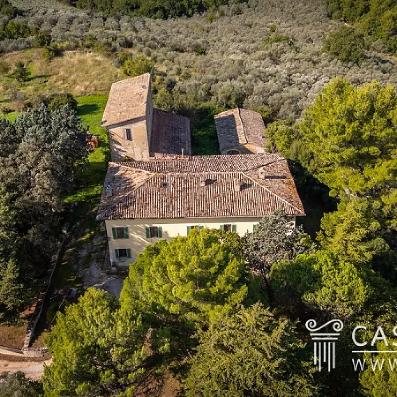 Z1ybkoJOVB1Xa8ocMp7RqqA1m6ywniVgs3sFC8nj