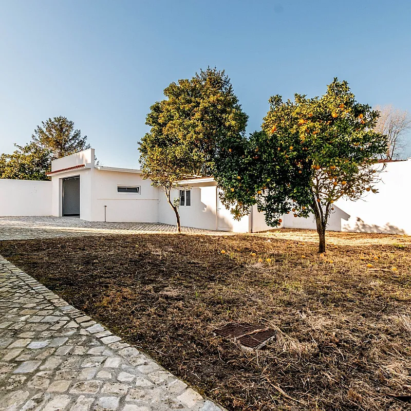 UEJfbi0Vusq5fZgvb9qHYdmdX2QU1IqH7m7aB7vJ