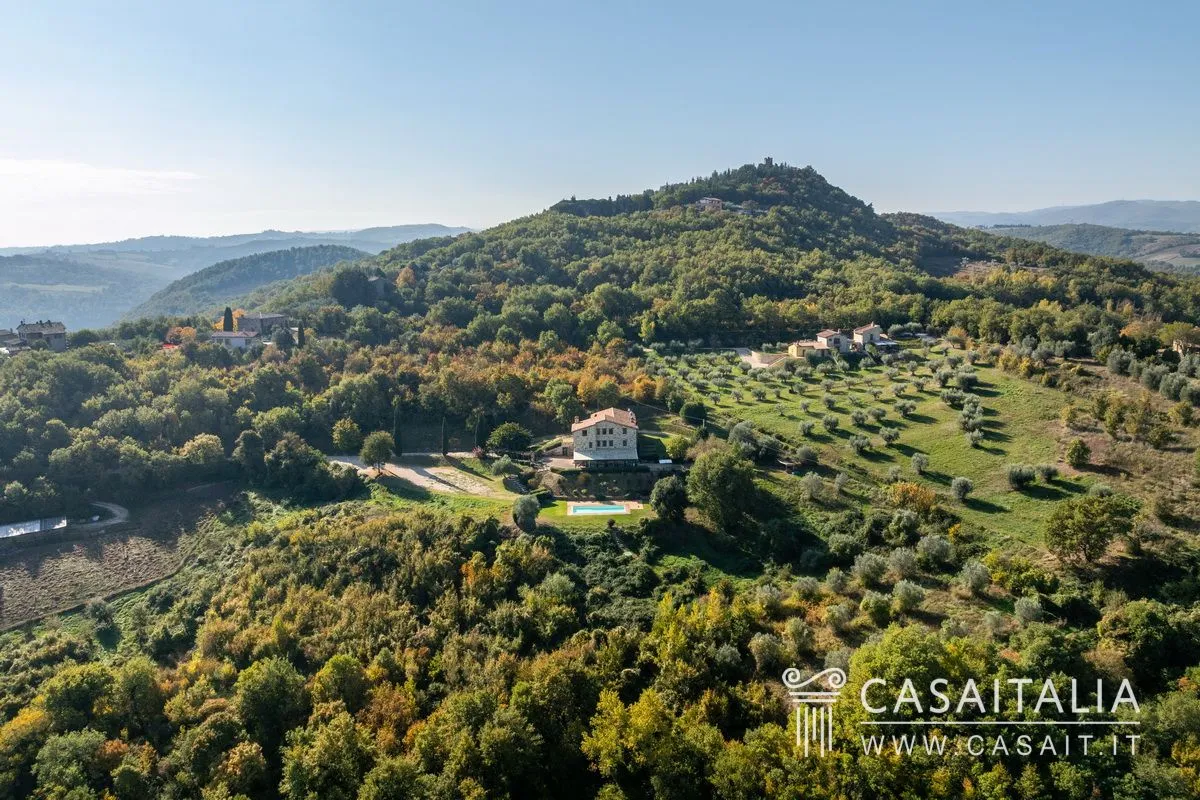 ZTiUFgWn8vbZVJLf8hSDfXHFRZnS1qn6rRztdqs6