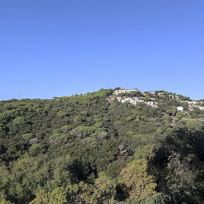 zqBqqXxF6zSNHohtMV0VODxEIJJQ8XPbiwOOXODT