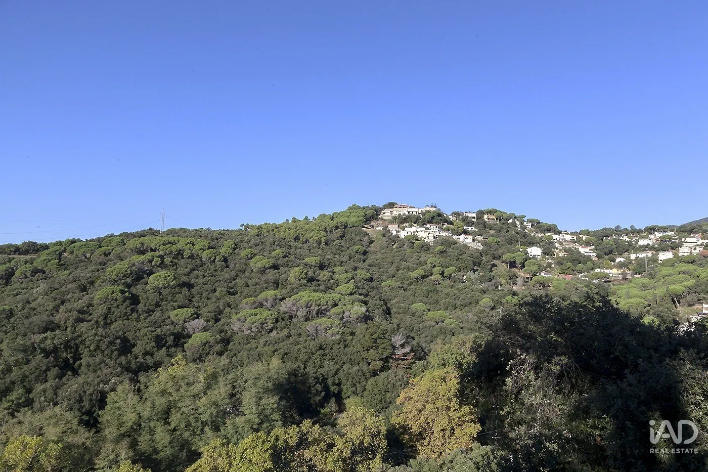 zqBqqXxF6zSNHohtMV0VODxEIJJQ8XPbiwOOXODT