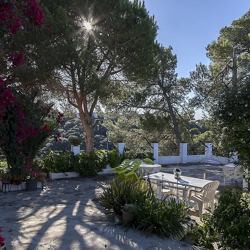 Qr86XOBHMZQRylLD8Q4r6GxnRGgsD0ZOEl5pvuBv