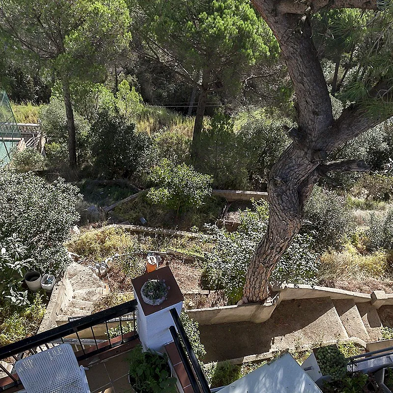 3ZXaXitns9xX0cgU5WzBCSSyGg62zf6ob2lgo8fB