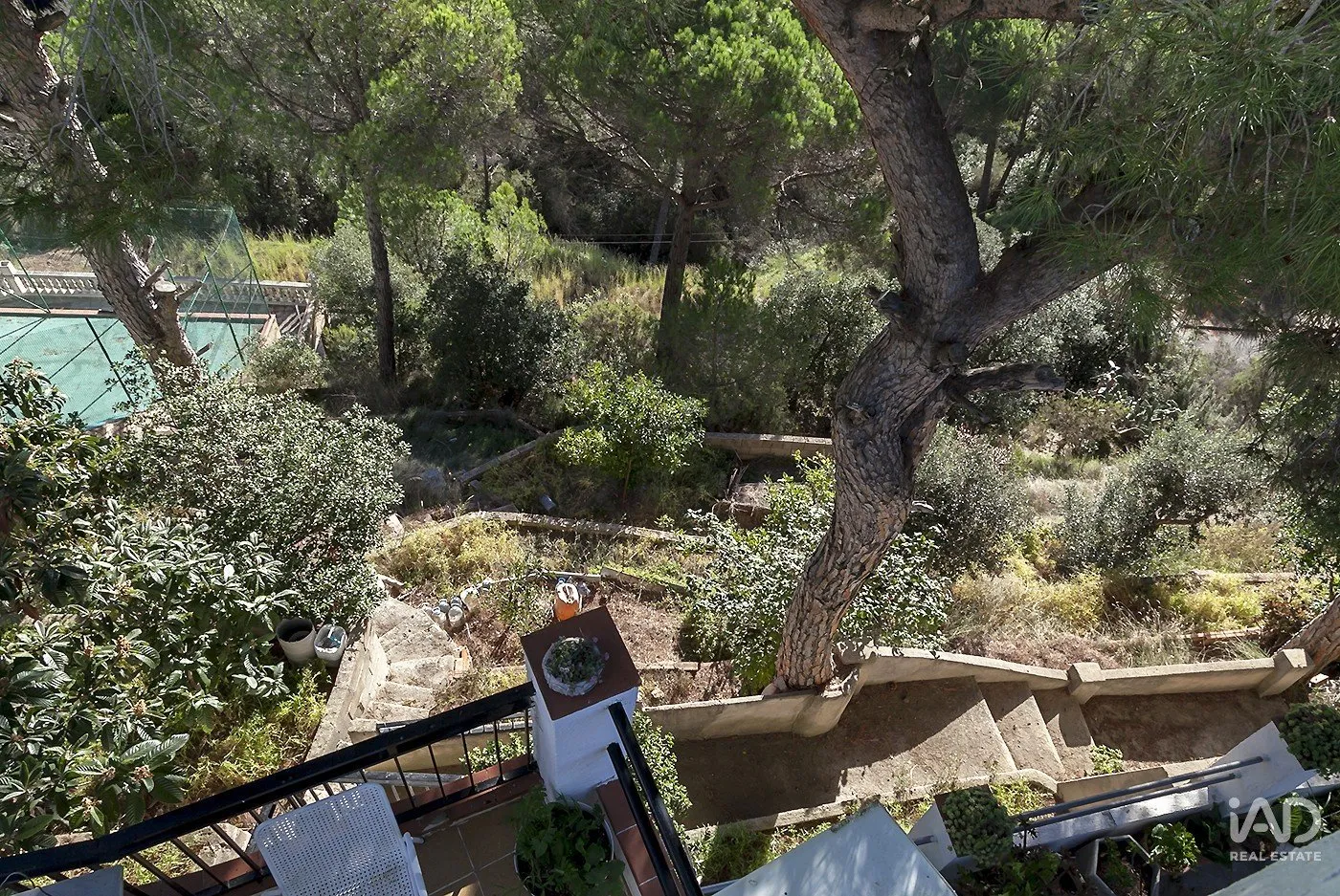 3ZXaXitns9xX0cgU5WzBCSSyGg62zf6ob2lgo8fB