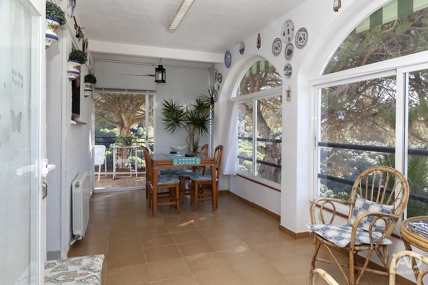 FFxmFas1pT7PT3orULqfIoxq8zCa282bvo0b6LFv