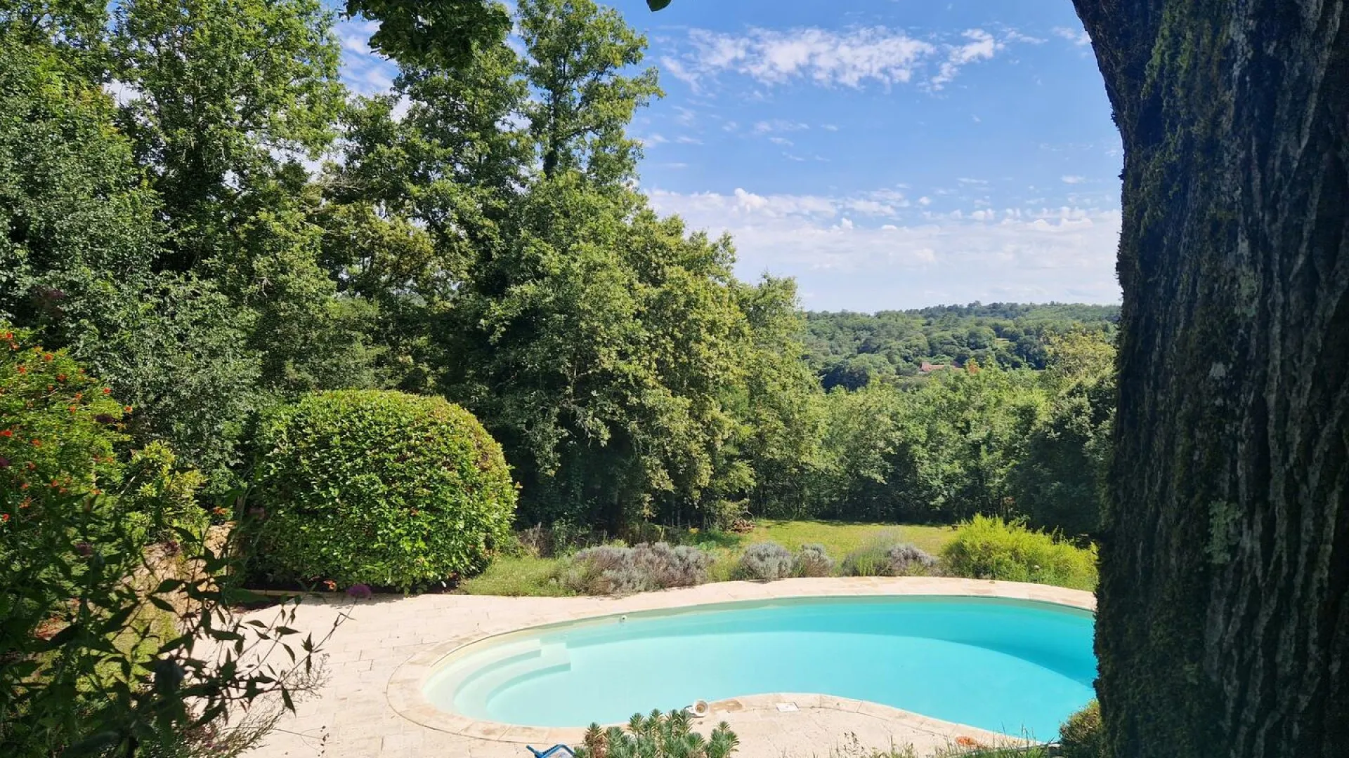 DdSL6hIf78E3MkTTnFDGdu1NDdMP3IT7PUiqFgnG