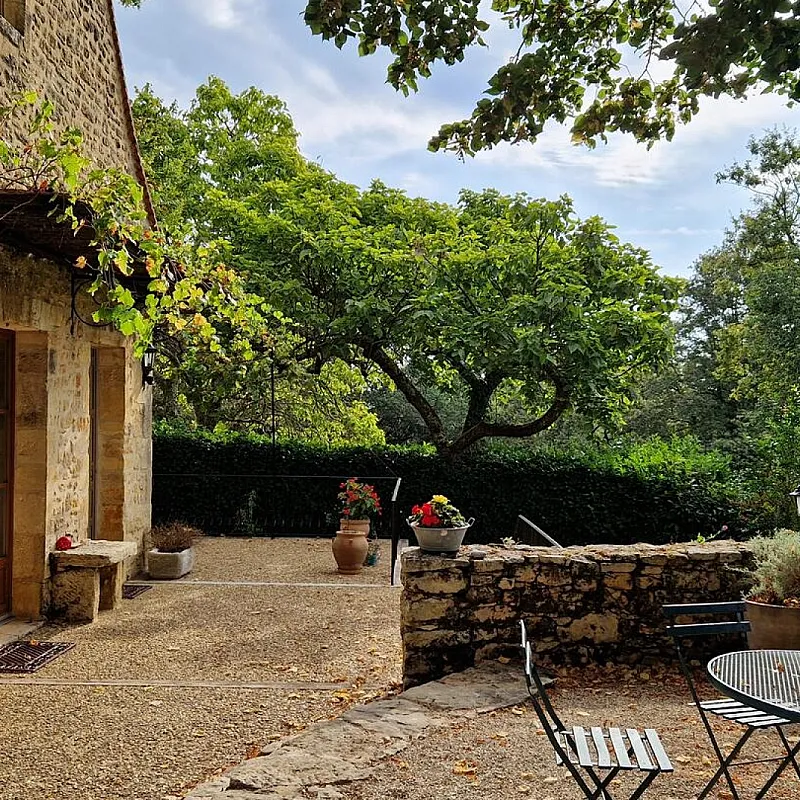 H2WvCq8jHRjIqngs5y5FxJncekgXctXrgGkoJBtS