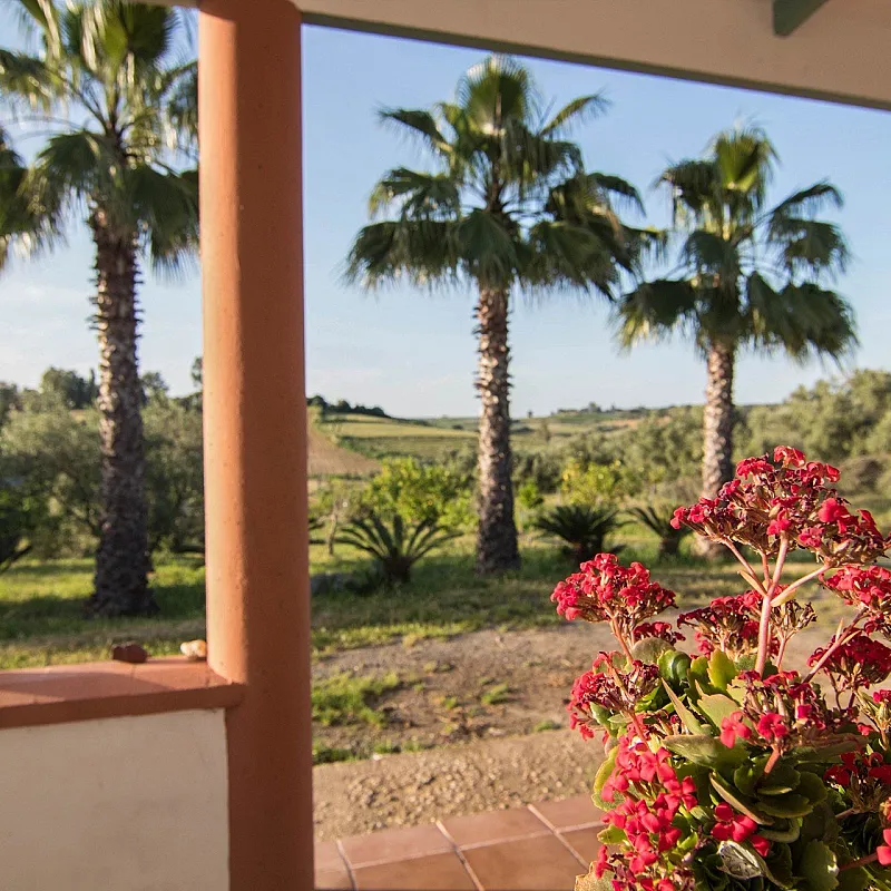 s7EpOm9Rj612KkI0qO6059ldGXXVlXGzjMdBiJQc