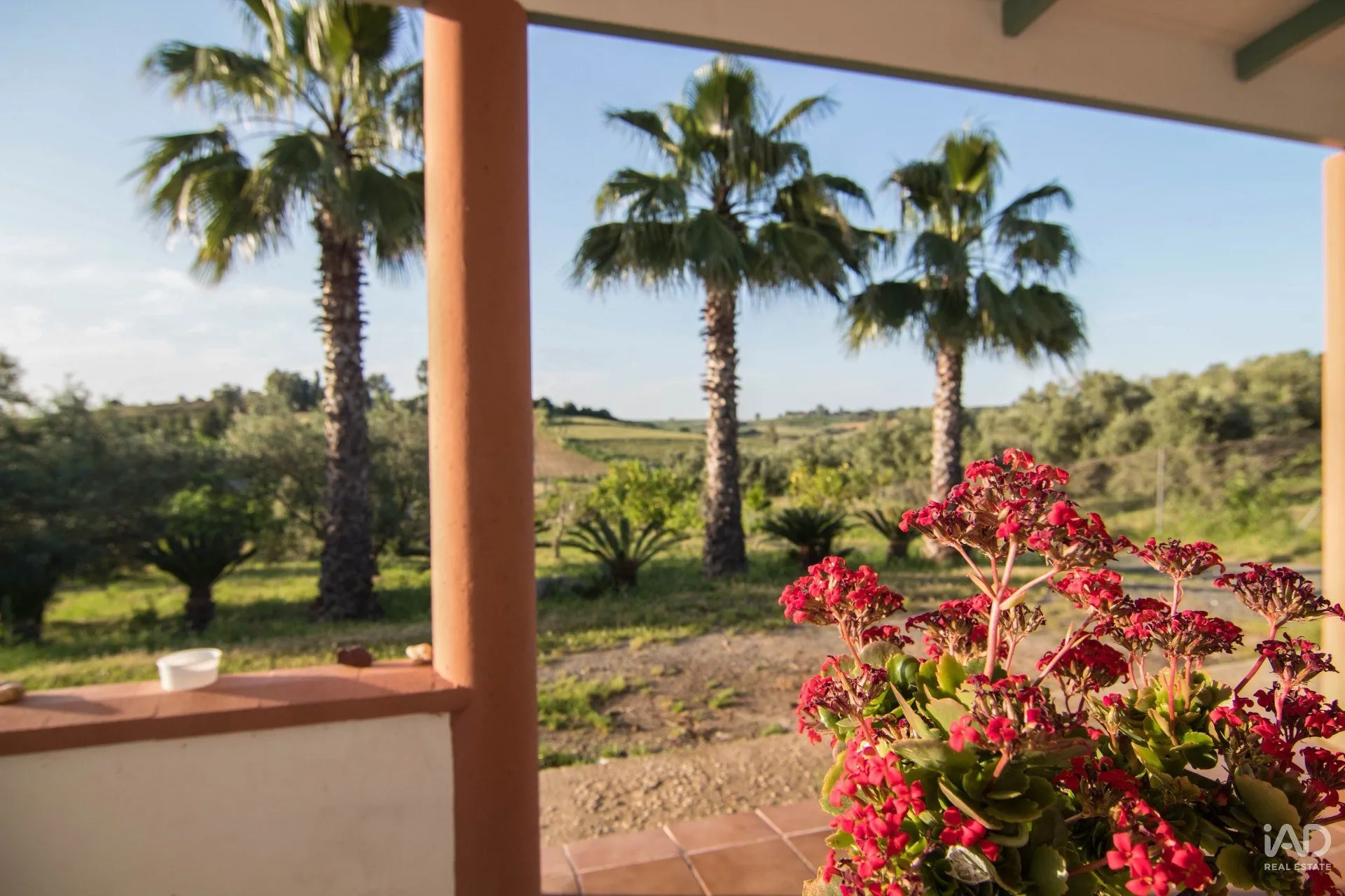 s7EpOm9Rj612KkI0qO6059ldGXXVlXGzjMdBiJQc