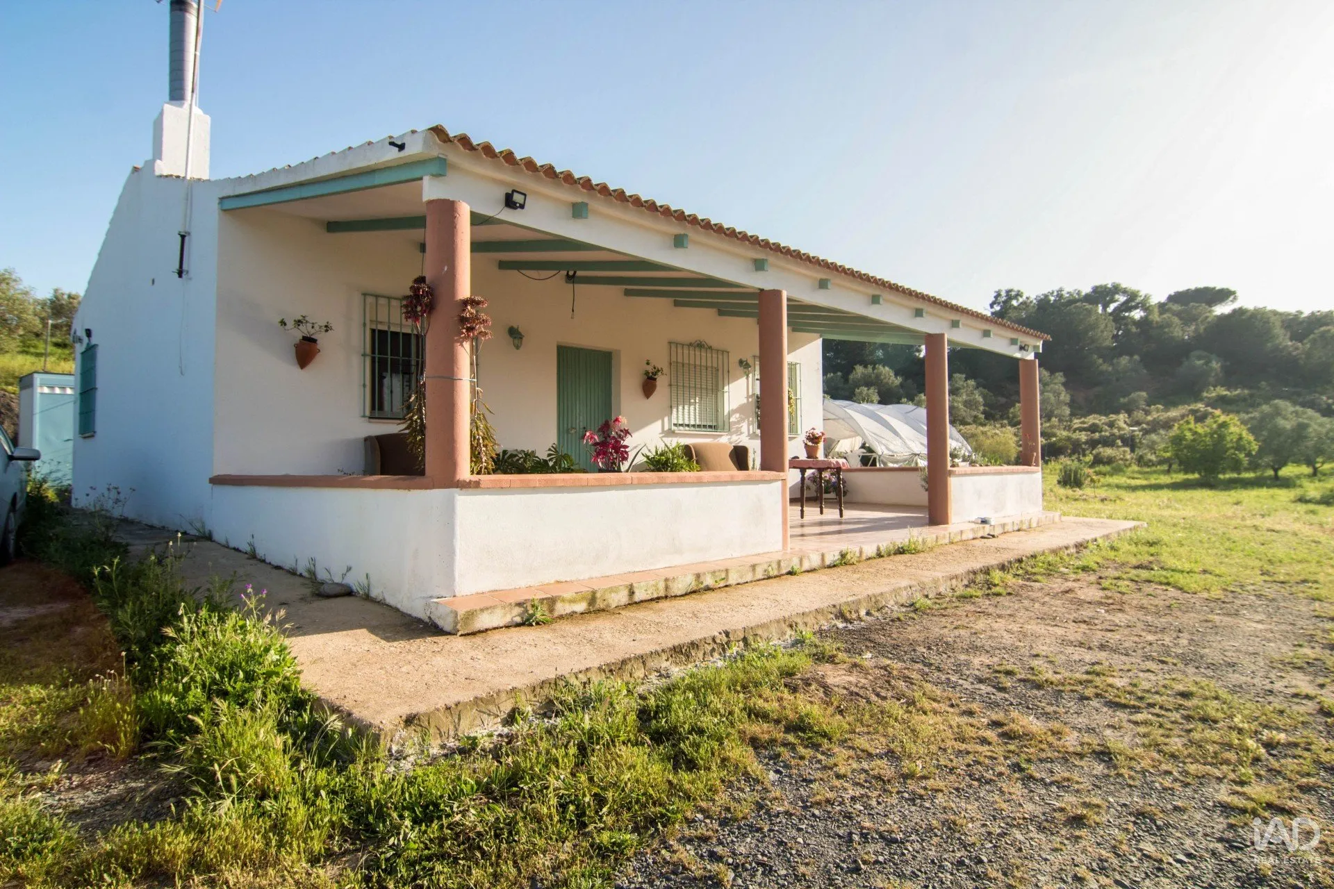 s02NCcYqjNVAzJsjmskTUxxkHStZ5LG6TbHtZzpT