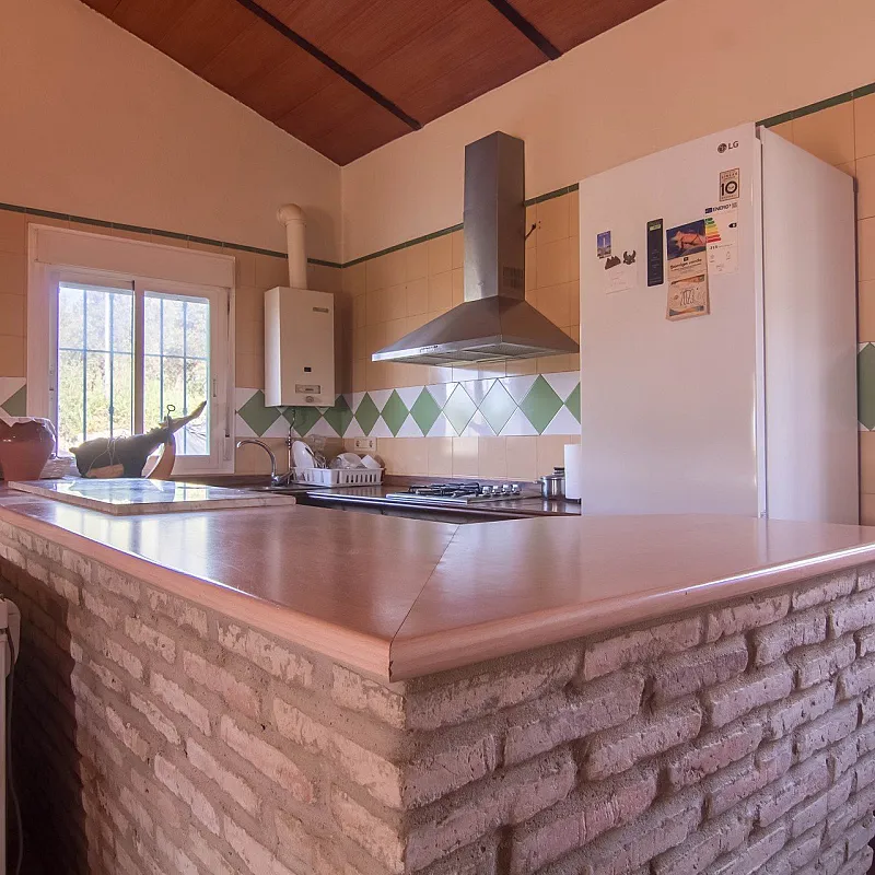 CdbEIWPocUwSM1dCuFlhJ03W7p6MruQ2icWGssRS