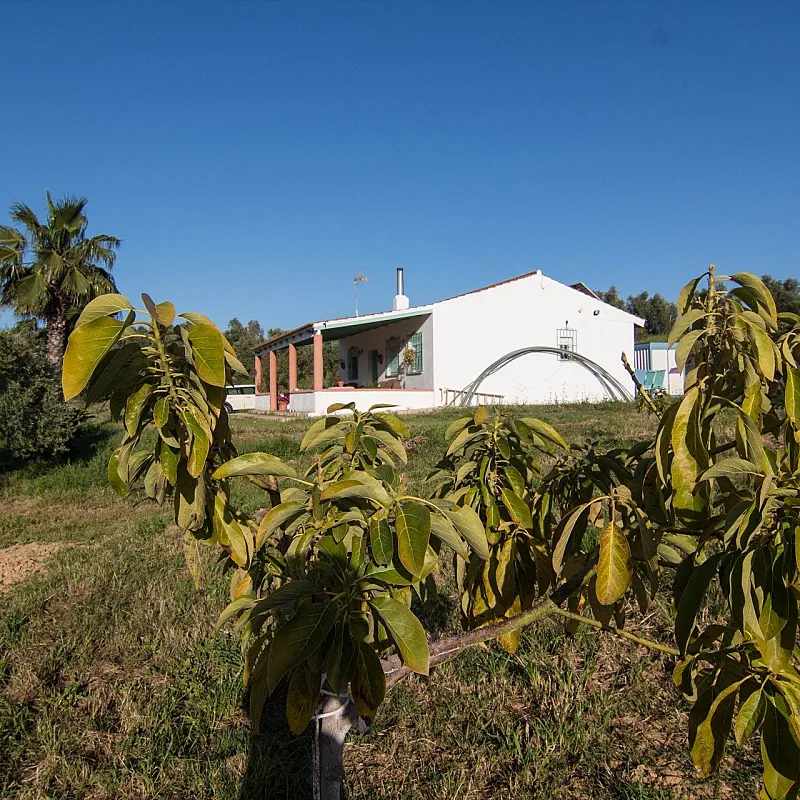 H0bqoM3fmWhdOChYbvthwsRB7tLIZFjCakTynLpG