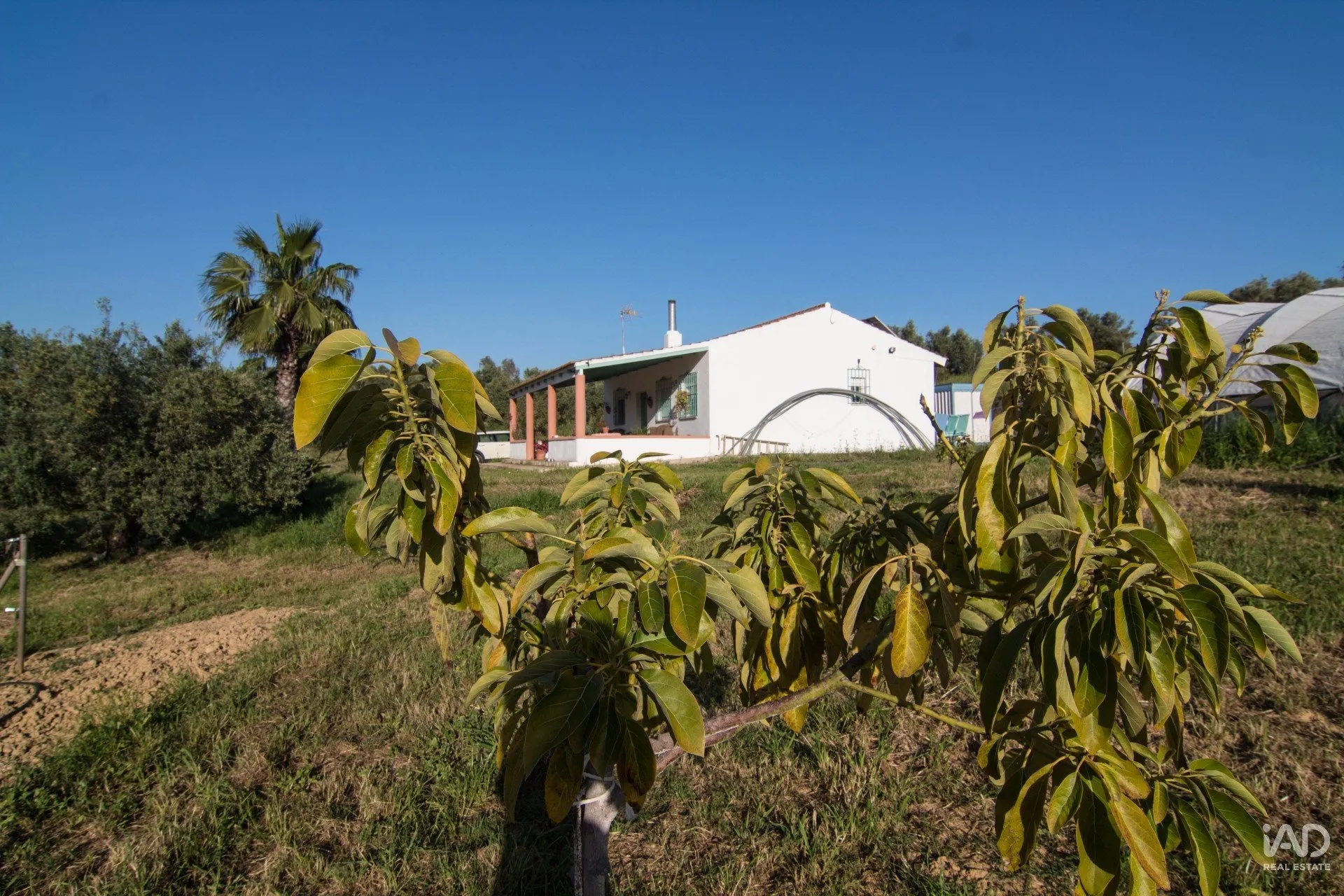 H0bqoM3fmWhdOChYbvthwsRB7tLIZFjCakTynLpG