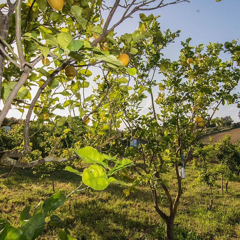 TssT0bG2Qvxbij2QHH3Q84taakeWmbtjgv99af0A