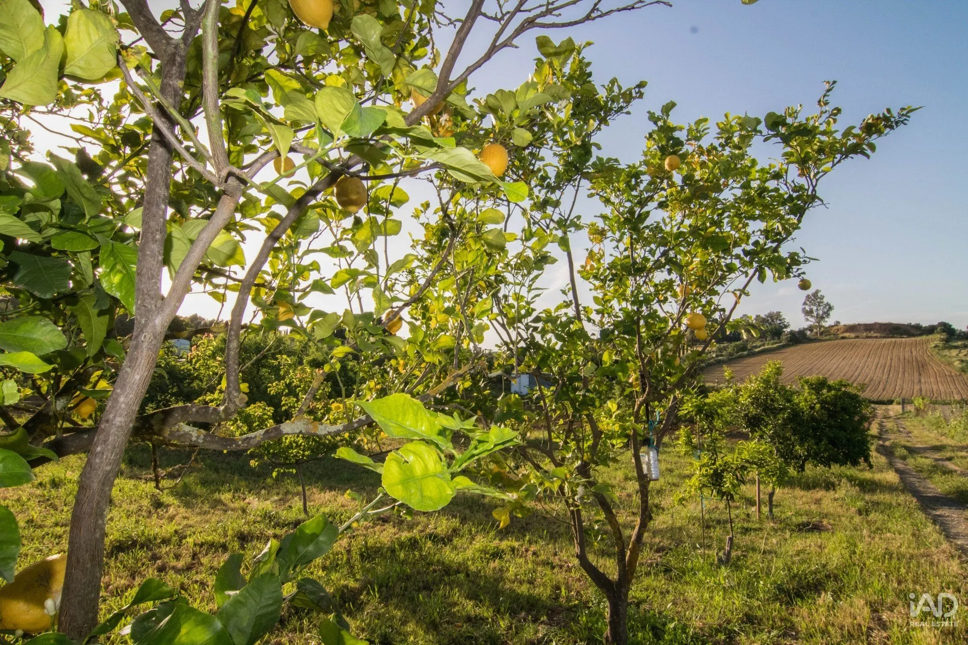 TssT0bG2Qvxbij2QHH3Q84taakeWmbtjgv99af0A