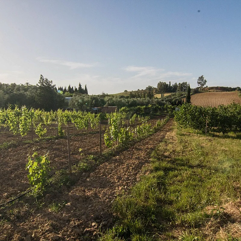 pgaUH8lzank2dysE4zZhRqO42rmWnvZcM68981h3