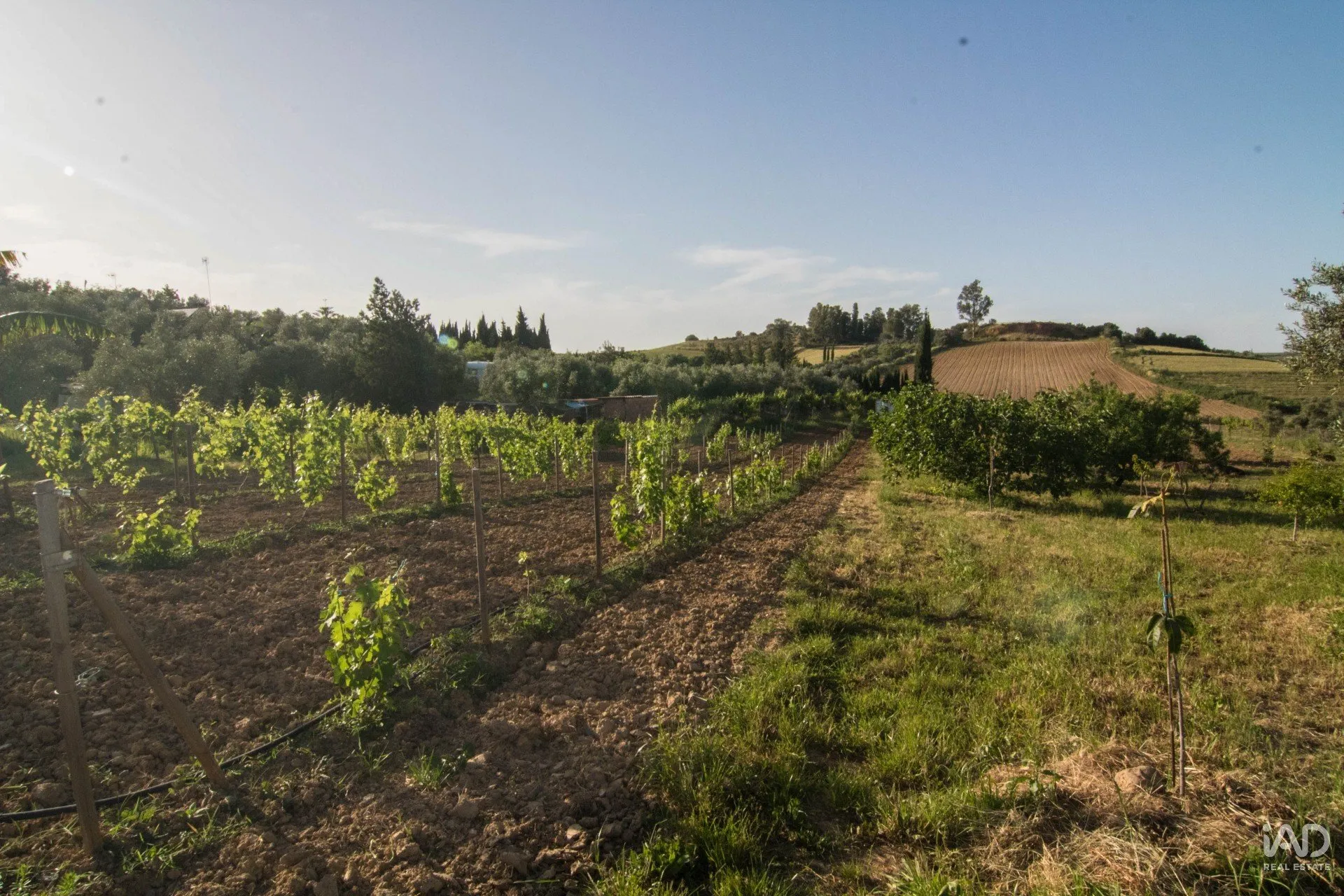 pgaUH8lzank2dysE4zZhRqO42rmWnvZcM68981h3