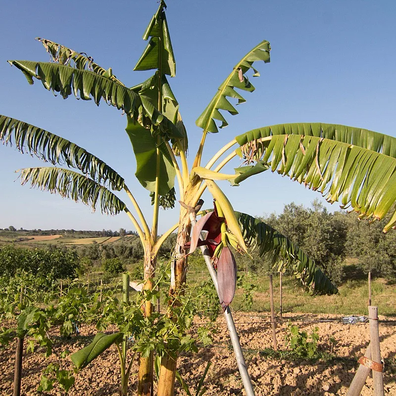 6d99ierMYOnm6Jjqn6qAljjzNNNOGF4bz7jvKDT4