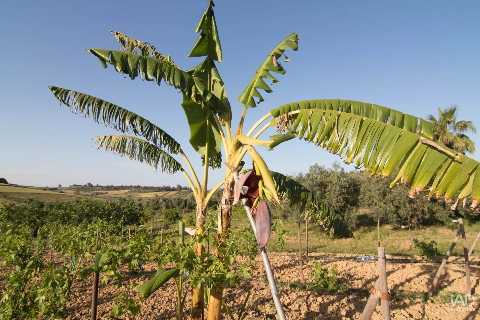 6d99ierMYOnm6Jjqn6qAljjzNNNOGF4bz7jvKDT4