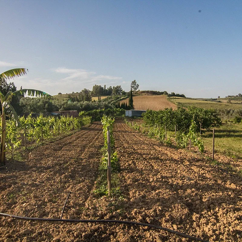 gBKtA6NGOFjAmDmMnOmNTi56xHDdIhq8tECnljw5