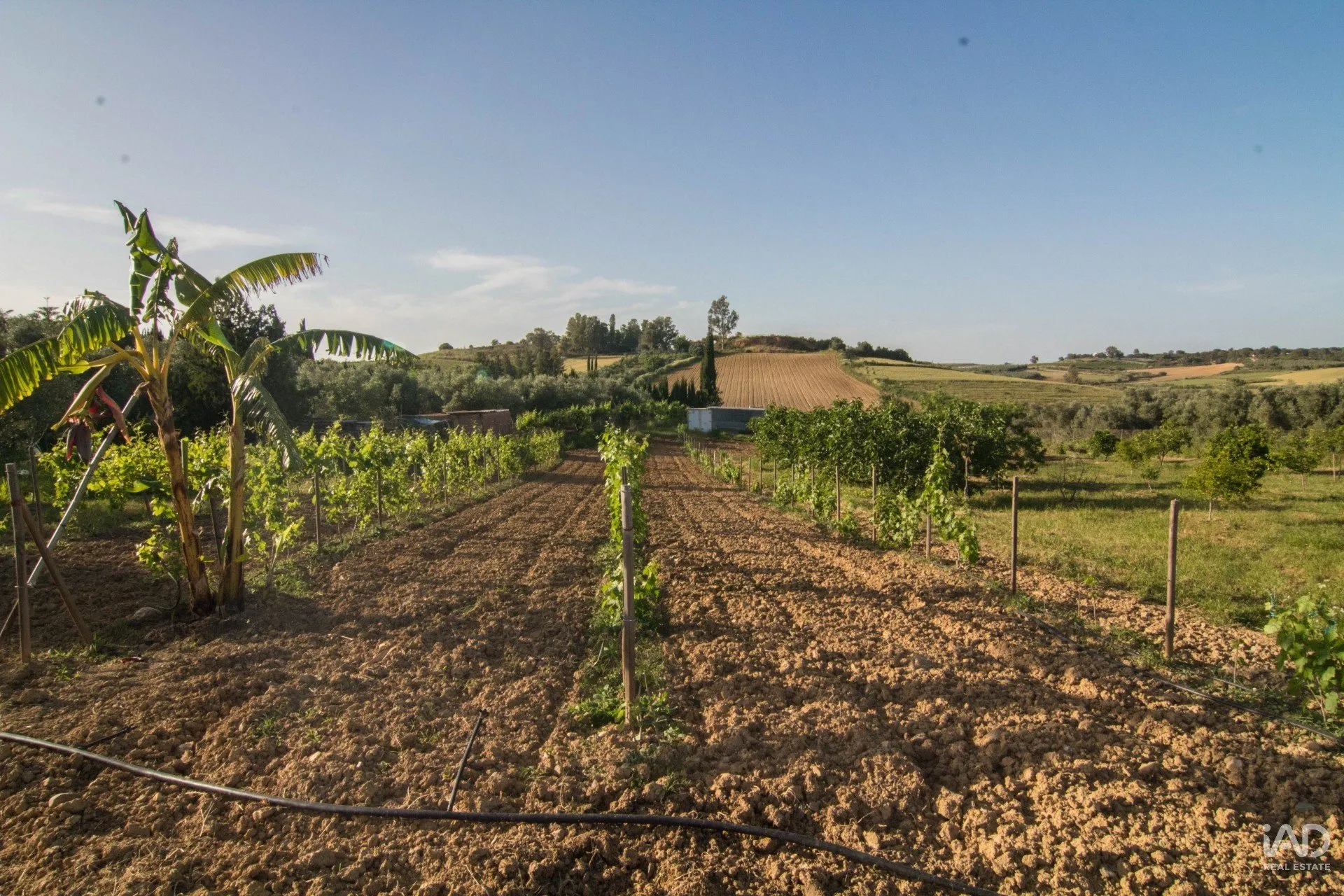 gBKtA6NGOFjAmDmMnOmNTi56xHDdIhq8tECnljw5