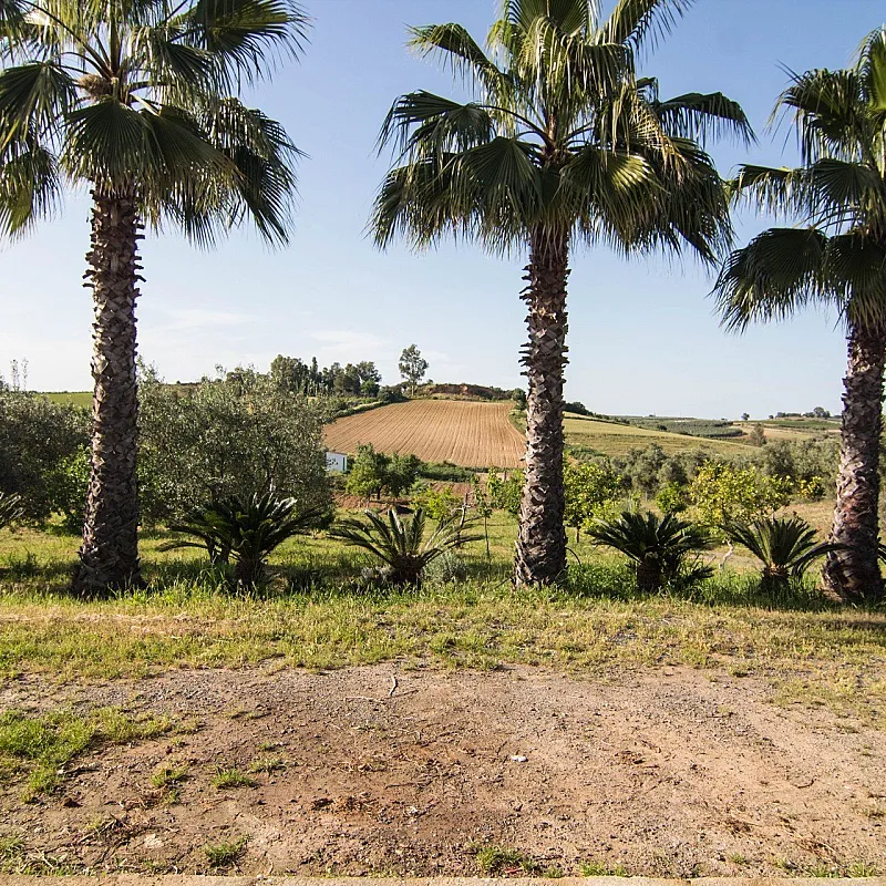 pry1hny1FDkLuMfpUgUKNbOQfthAbUZ4WpZG2dZS